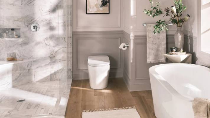 Moen Toilets & Bidet Seats